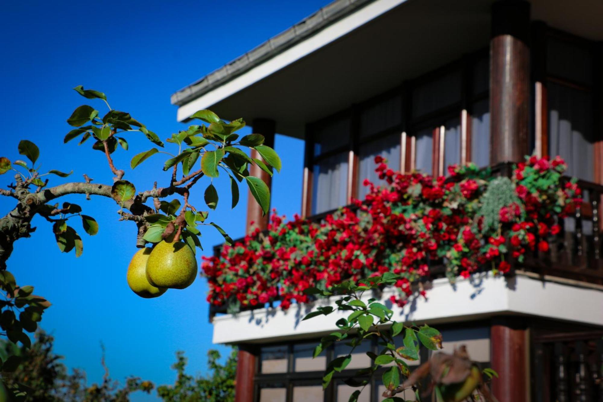Cosma House Hotel Hinojedo Екстериор снимка